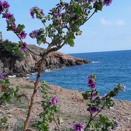 Perle D'asie 2 לינה וארוחת בוקר Sète